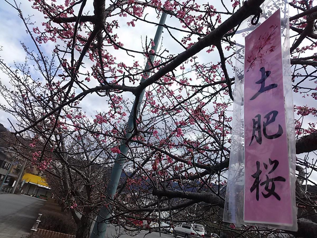 Koibito Misaki Pension Marine Mates Идзу Экстерьер фото
