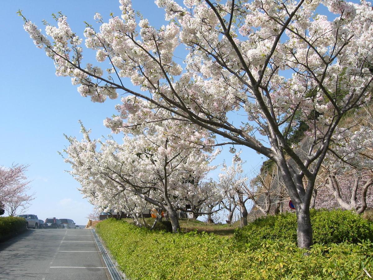 Koibito Misaki Pension Marine Mates Идзу Экстерьер фото